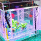 The MIT Media Lab’s failed “personal food computer.”